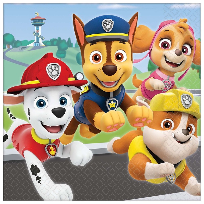 Paw Patrol Adventures Luncheon Napkins (16ct)