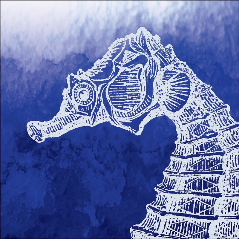 Marine Seahorse Beverage Napkins (24 ct)