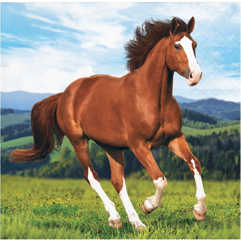 Horse and Pony Beverage Napkins (16ct)