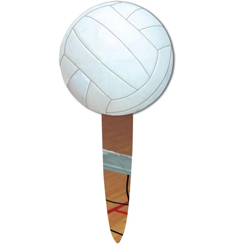 Volleyball Party Picks