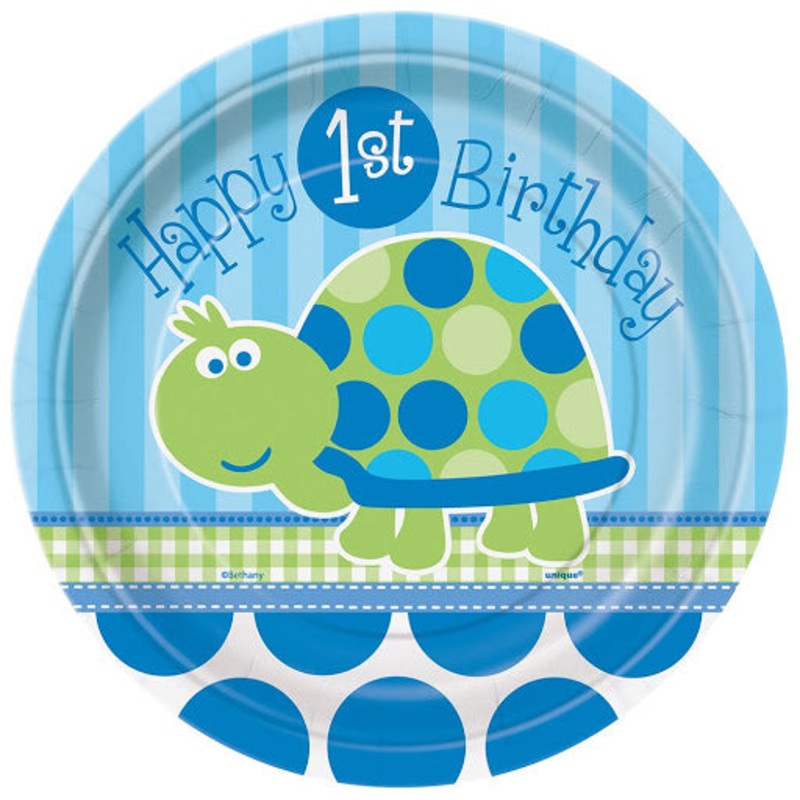1st Birthday Turtle Dinner Plates, 22cm (8ct)