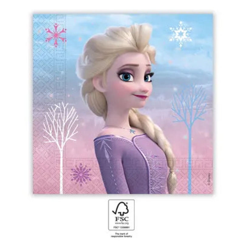 Frozen Two-Ply Paper Napkins 33x33 cm. FSC.