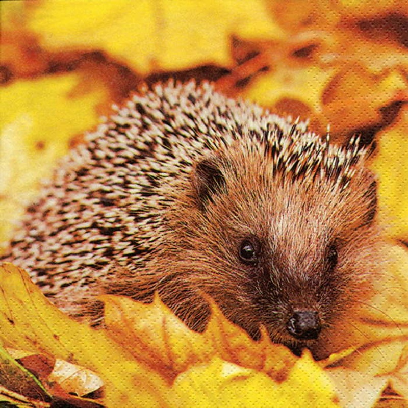 Hedgehog Napkins Paper 3 ply Pack of 20 Serviettes