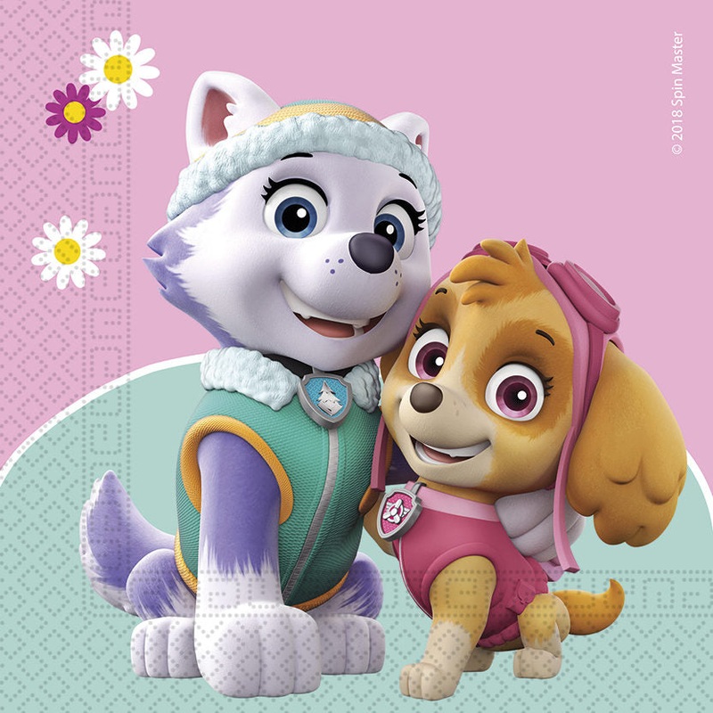 Pink Paw Patrol Skye & Everest Napkins (20pk)
