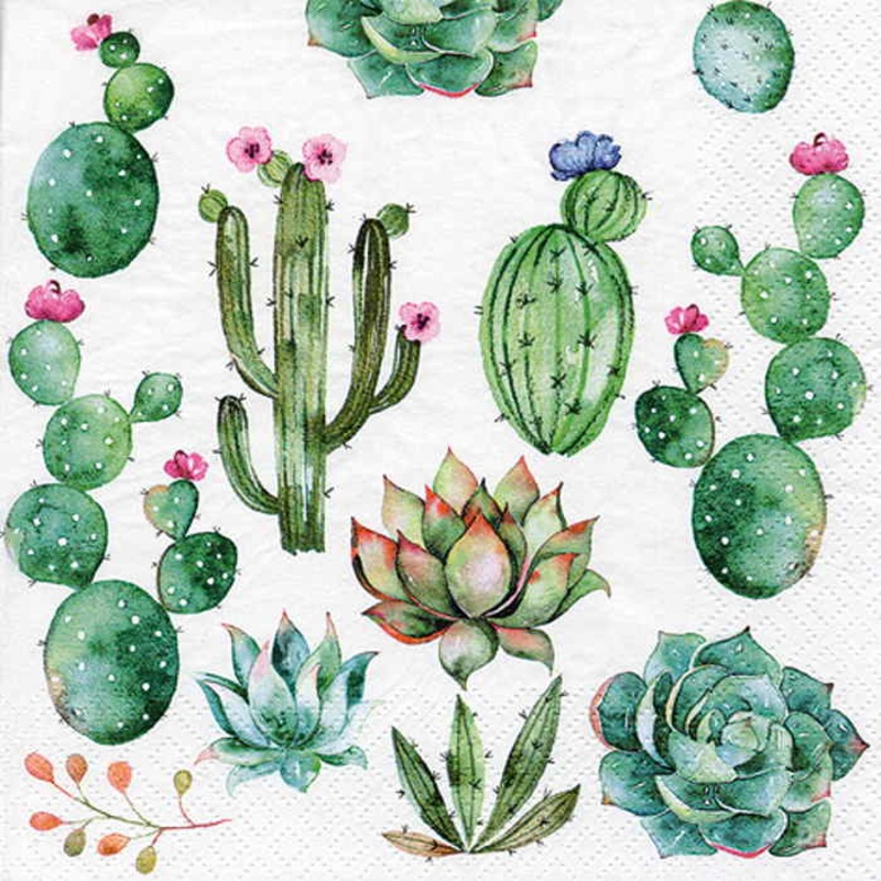 Cactus Napkins 3 ply | Succulent Napkins Pack of 20