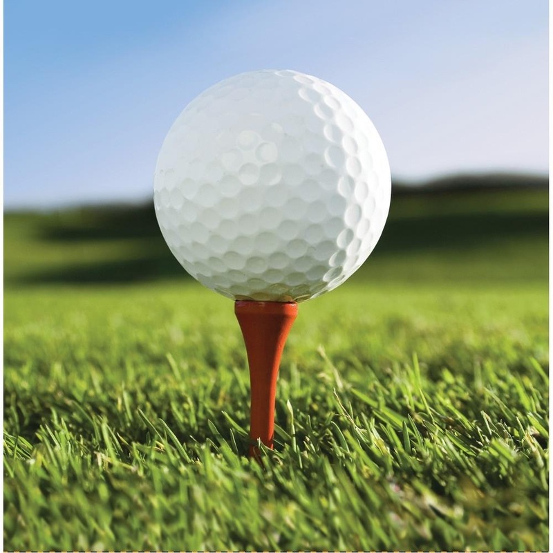 Golf Paper Napkins 2 ply Pack of 16