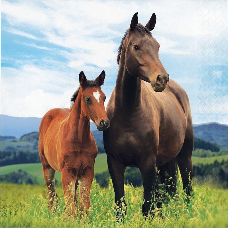 Horse Paper Napkins 2 ply Pack of 16