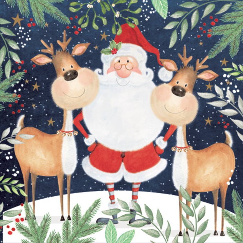 Christmas Napkins - Santa and Reindeer Pack of 20