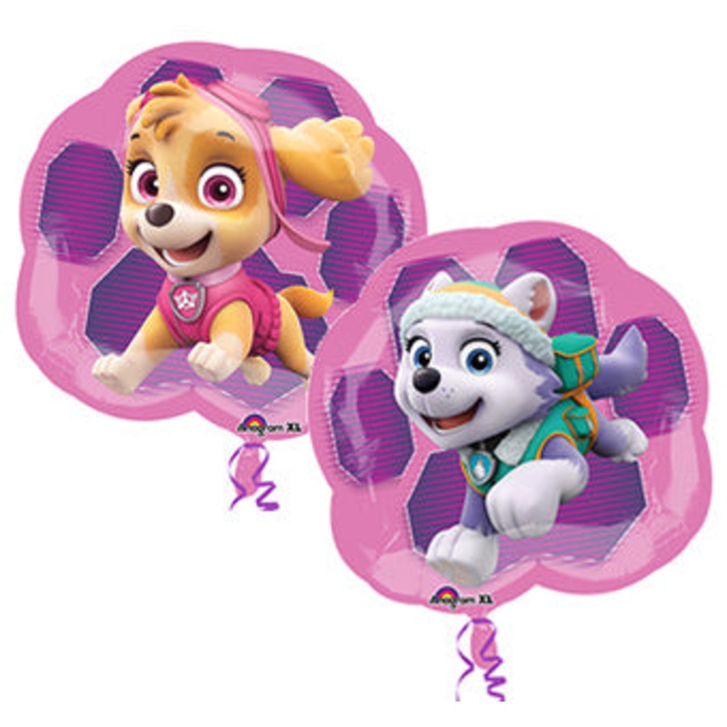 Paw Patrol Skye and Everest