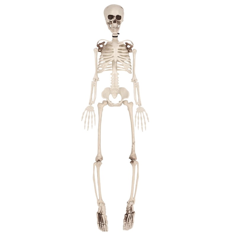 Halloween Plastic Skeleton