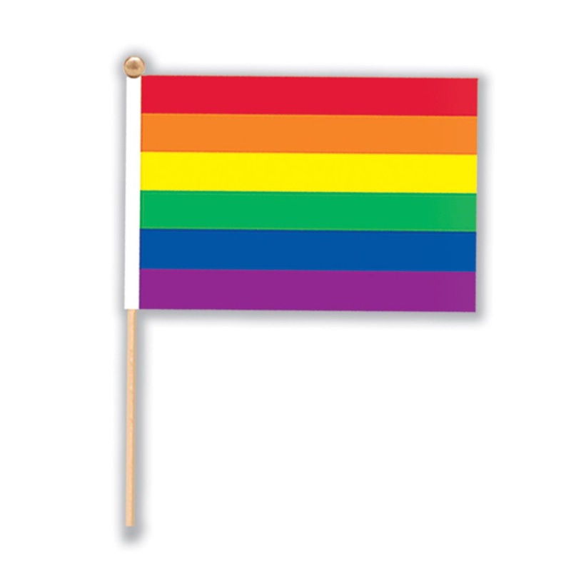 6 Inch- Rainbow Party Flag - Fabric