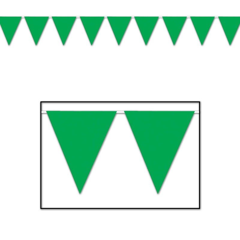 Green Party Pennant Banner