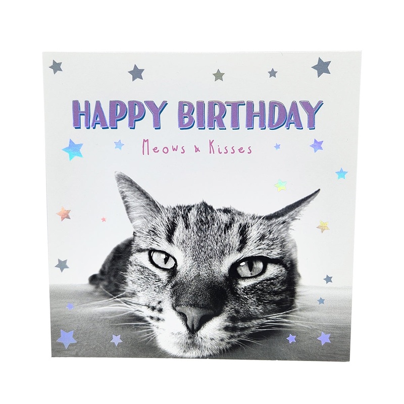 Cat Meows & Kisses Happy Birthday Card