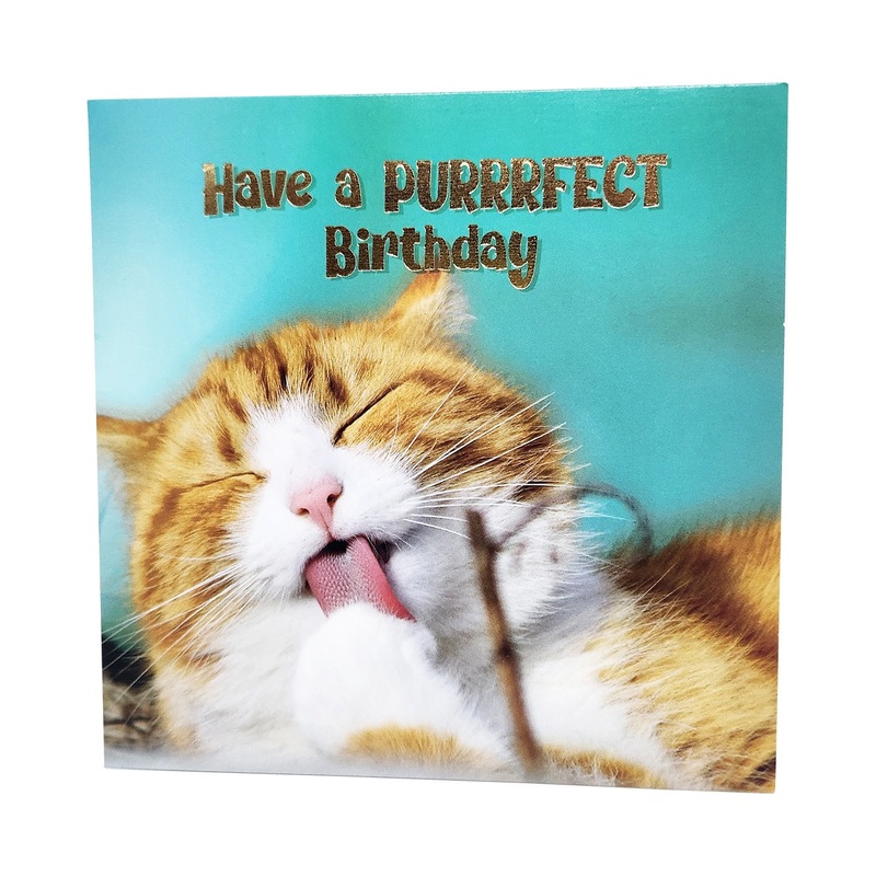 Cat Purrfect Happy Birthday Card