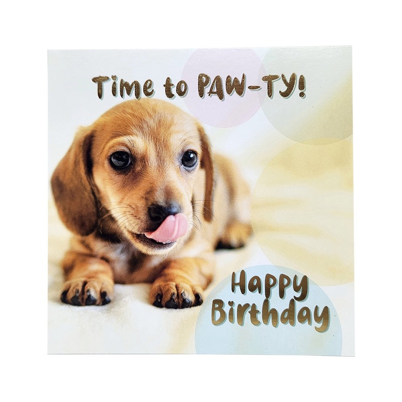 Puppy Paw-ty Happy Birthday Card