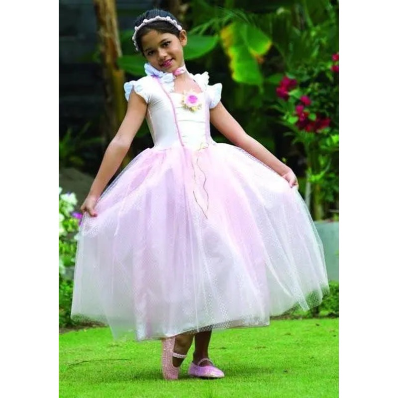 Princess Anna Costume