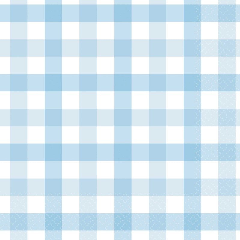 Pastel Blue Gingham Napkins - Lunch 16 Pkt