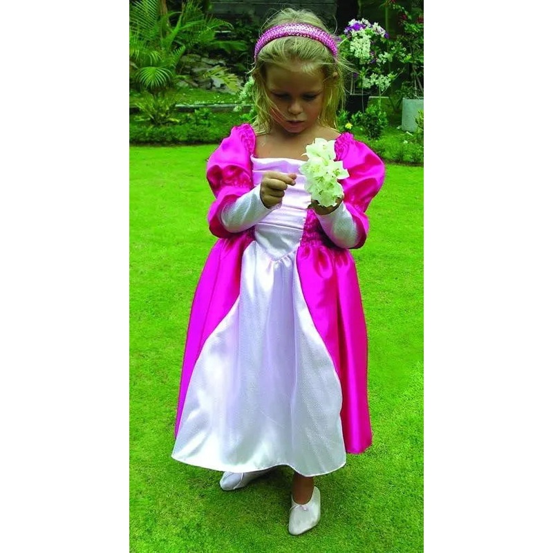 Princess Holly Costume