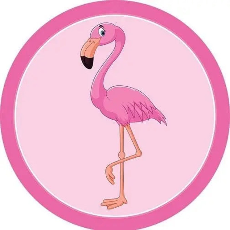 Flamingo Edible Cake Image