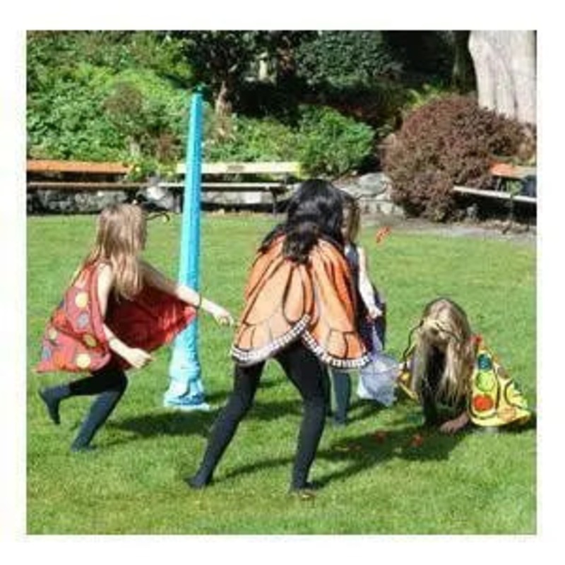 Butterfly Party in a Box