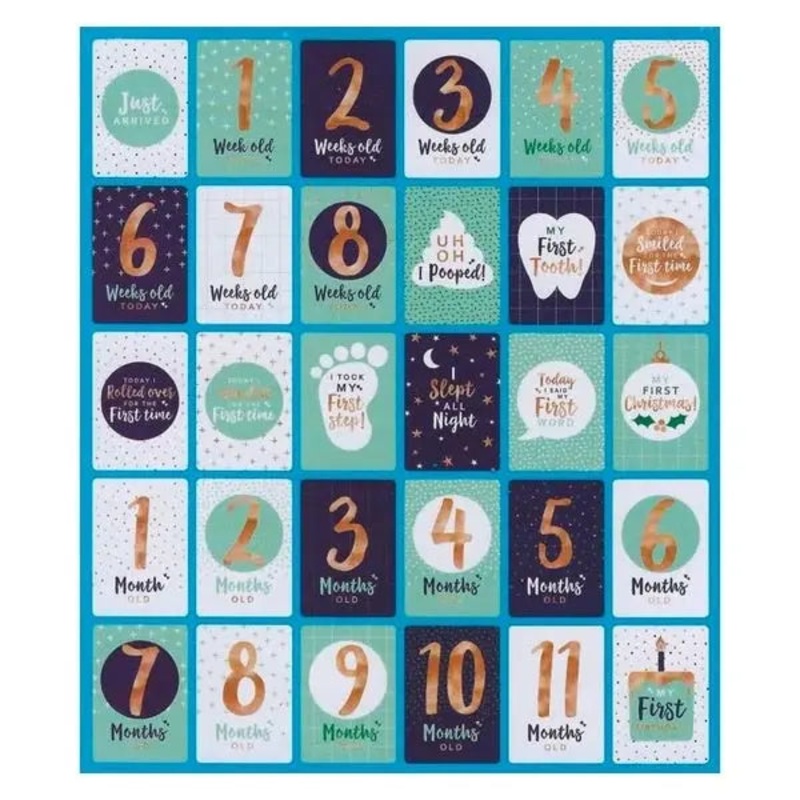 Baby Milestone Cards