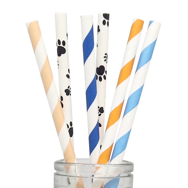 Bluey Paper Straws - 25 Pkt