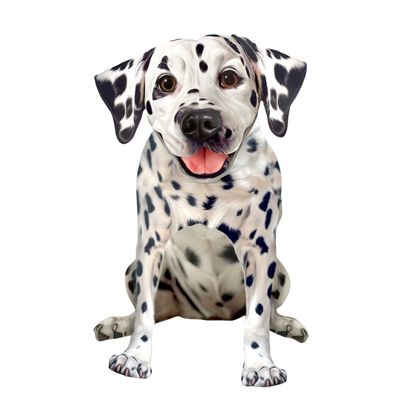 Dalmatian Pop-Up Pet Card
