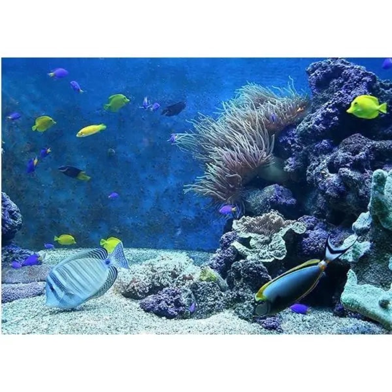 Under the Sea Edible Cake Image - A4 Size