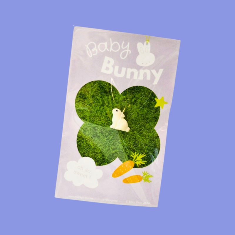 Baby Bunny Pocket Friend