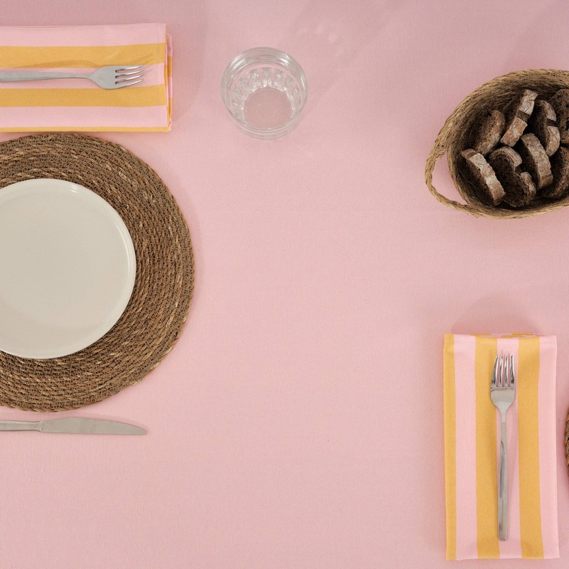 Light Pink / Flaxseed Striped Napkins (Set of 2)