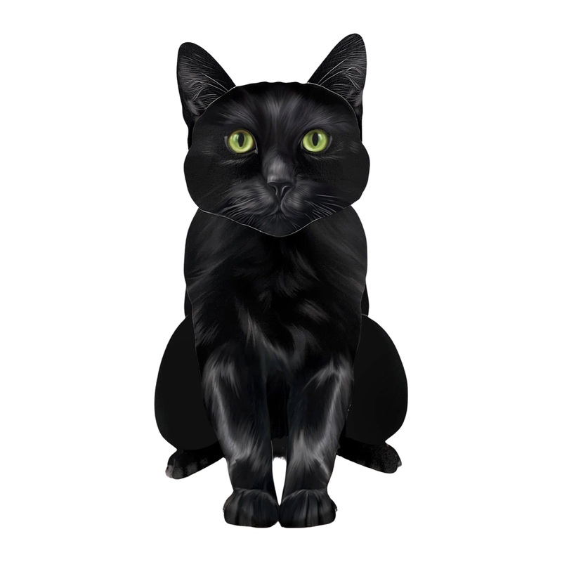 Black Cat Pop-Up Pet Card