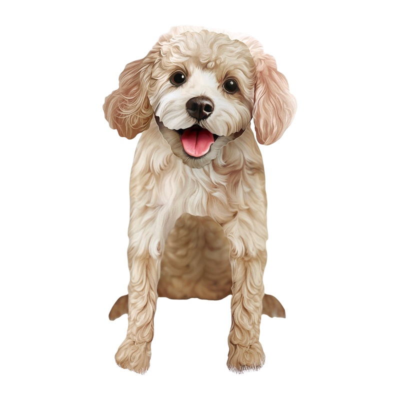 Poodle Pop-Up Pet Card