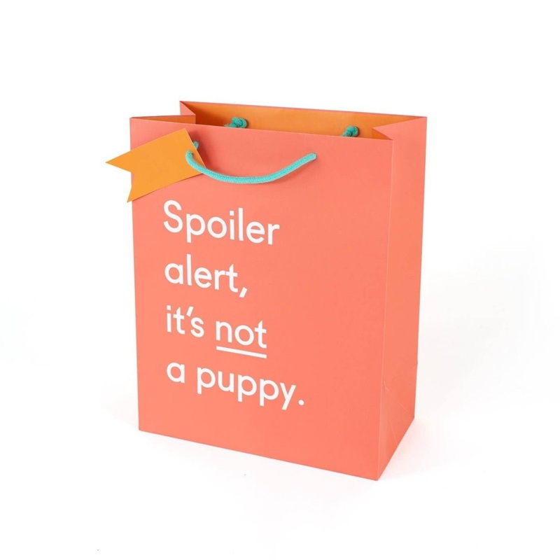 Spoiler Alert, Its Not a Puppy Gift Bag
