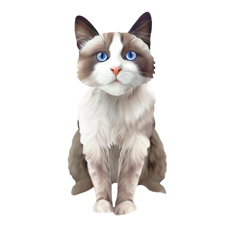 Ragdoll Cat Pop-Up Pet Card