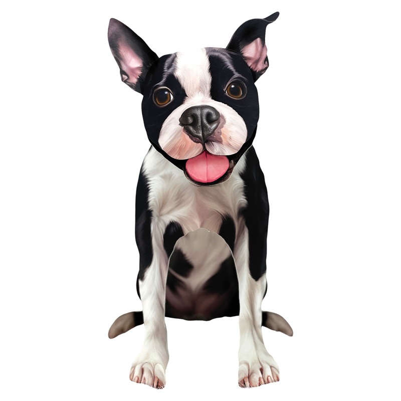 Boston Terrier Pop-Up Pet Card
