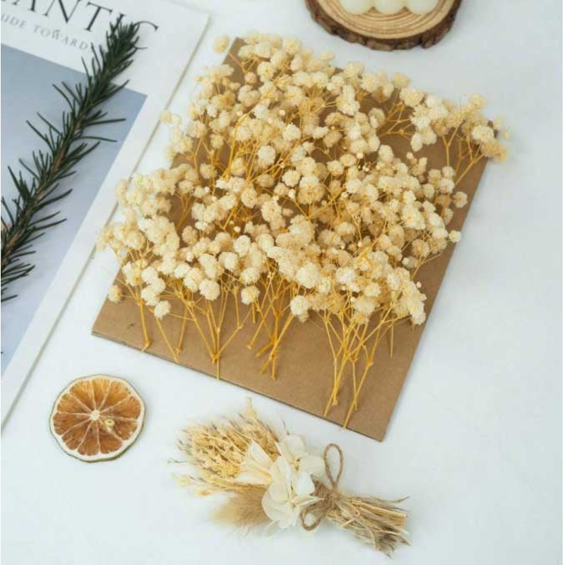 Mini Baby Breath Ivory