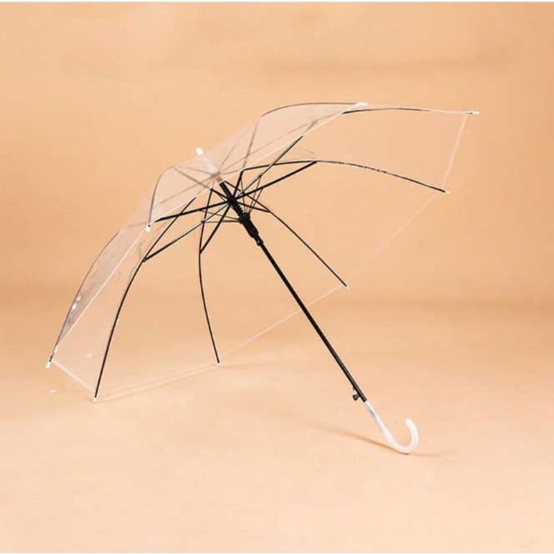 Transparent Umbrella