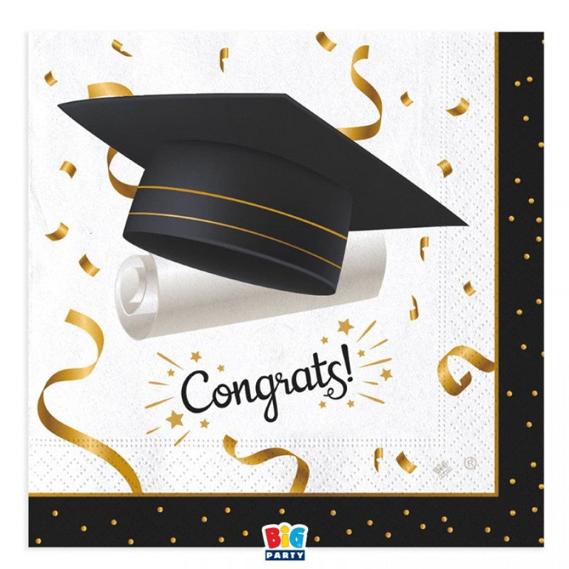 Paper Napkins - 33 x33 cm - Graduation Theme - 16pk