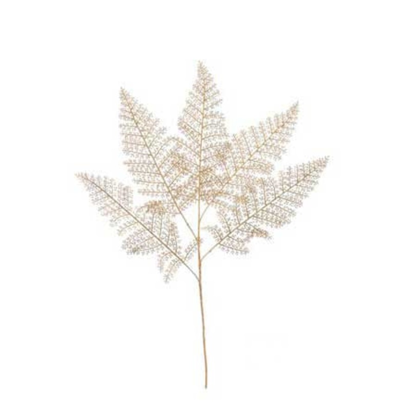 Gold Fern Stem X 5