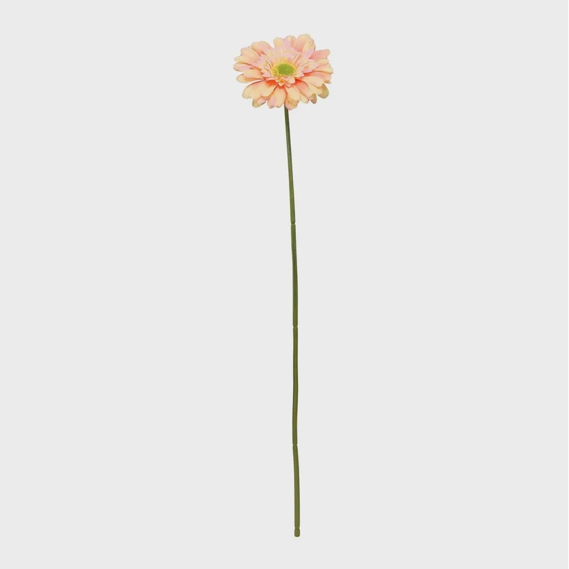 Single Gerbera Peach - 72cm