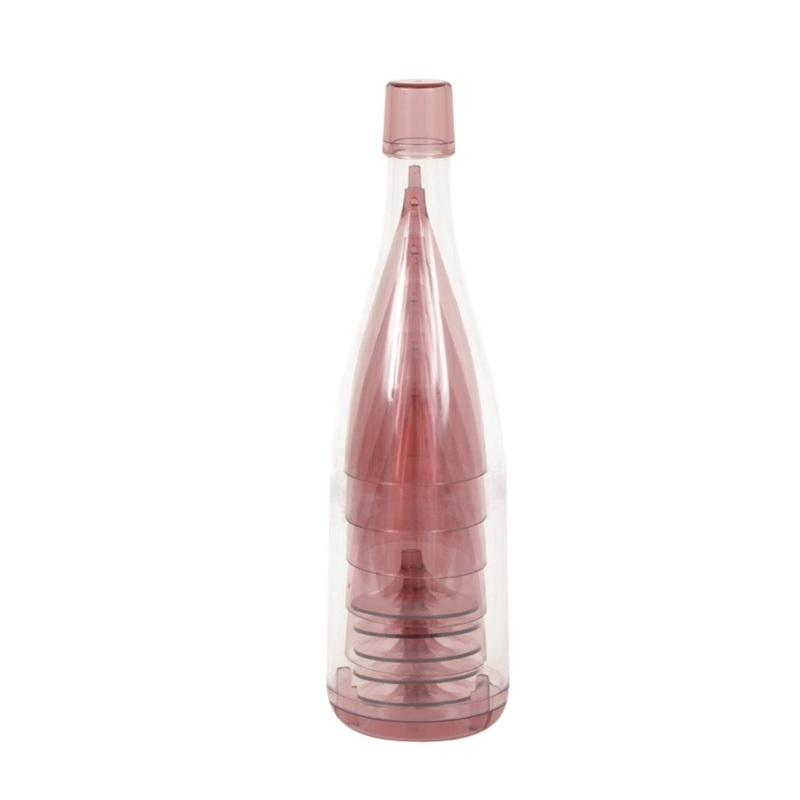 PINK & GOLD PLASTIC CHAMPAGNE GLASSES IN STORAGE BOTTLE