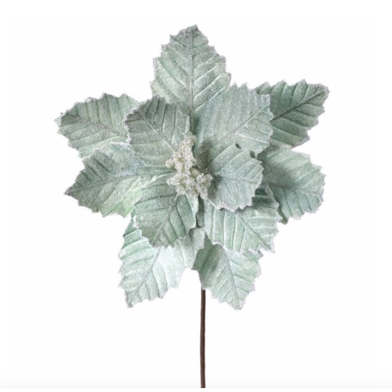 SUGARED POINSETTIA STEM