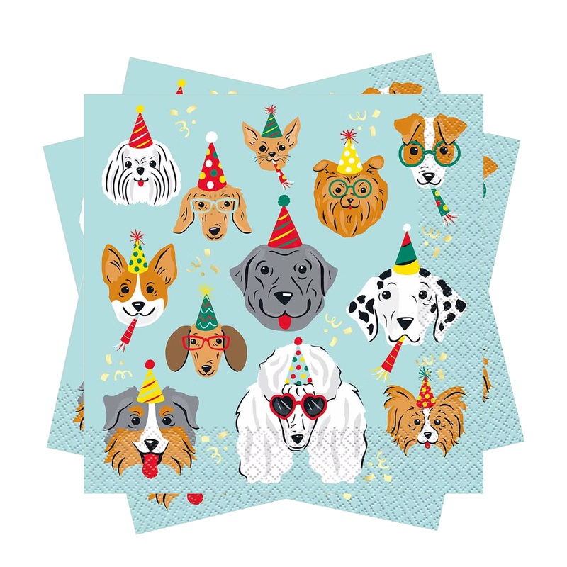 Pawty Time Birthday Luncheon Napkins, 16ct