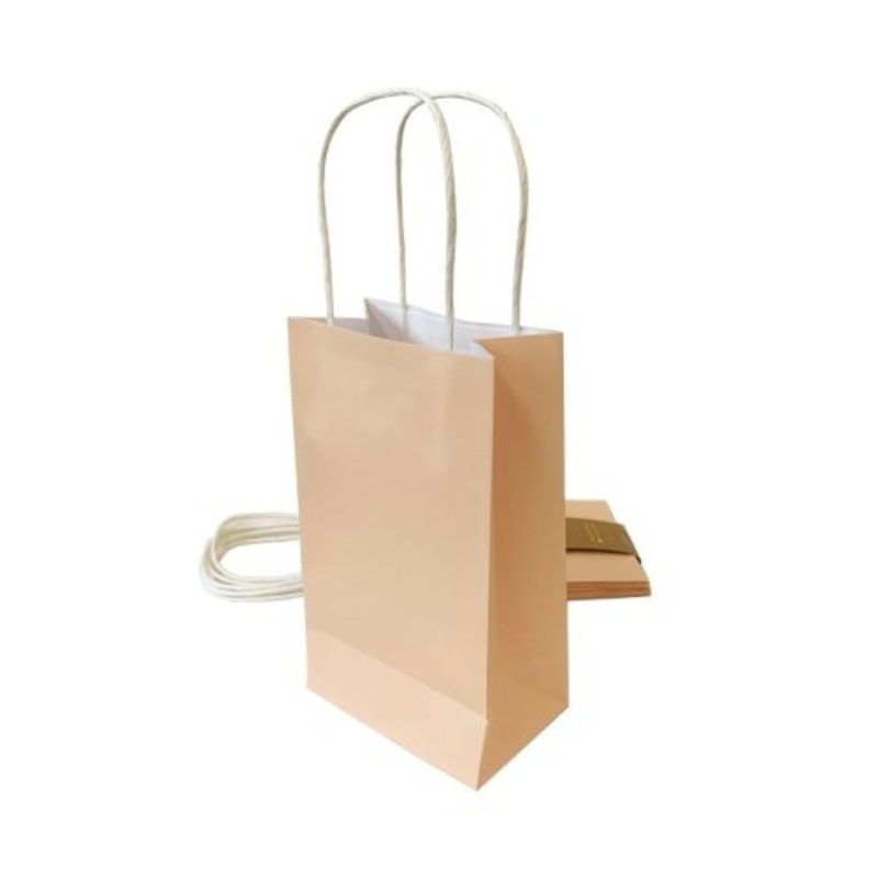 Pastel Peach Party Bag