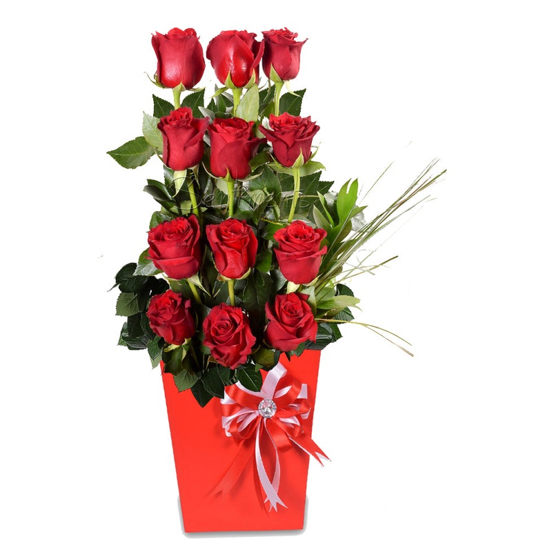 Fallin' in Love Red Roses Arrangement - 12Roses