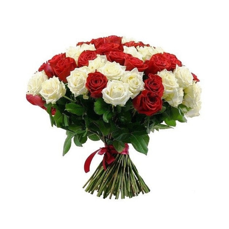 Red and White Roses