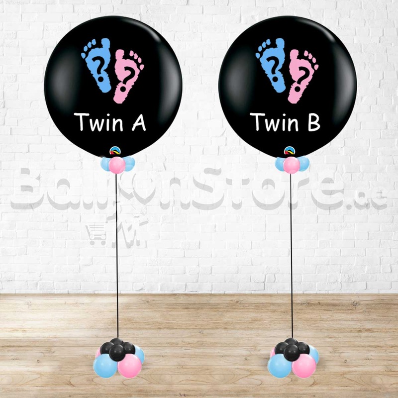 Twin Baby Gender Reveal - PRE 0RDER 1day