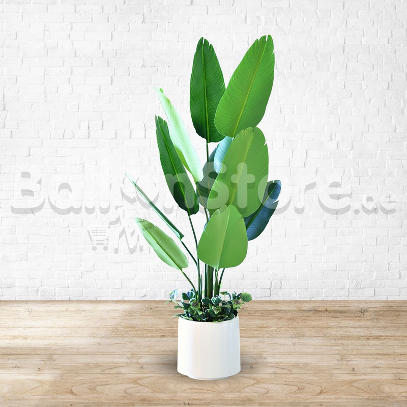 Artificial Strelitzia Palm (Birds of Paradise)  - Home / Office Decor