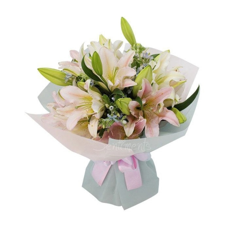 Blooming Glory Lilies