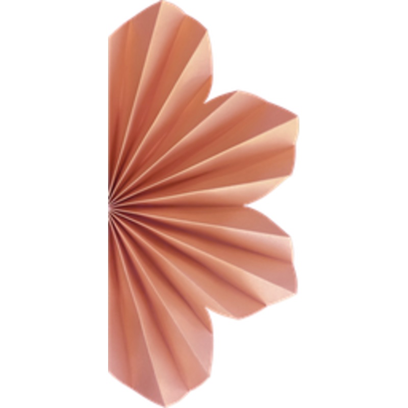 Paper Party Paper Daisy Rose 20cm - 2pk